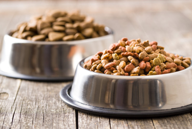 Kedi ve Köpek Maması Seçerken Nelere Dikkat Edilmeli? Kedi ve Köpek Maması Seçerken Nelere Dikkat Edilmeli?