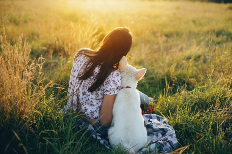 İlk Kez Köpek Besleyecekler İçin: Köpek Bakım Rehberi İlk Kez Köpek Besleyecekler İçin: Köpek Bakım Rehberi